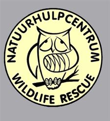 100 kippen en hanen opgehaald in Heusden-Zolder