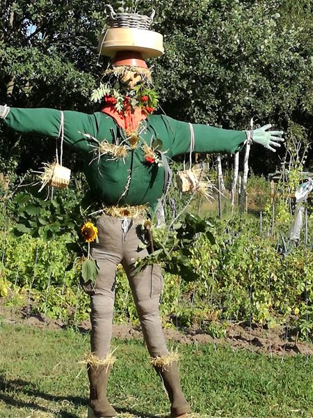 29 vogelverschrikkers zijn klaar voor de zomer