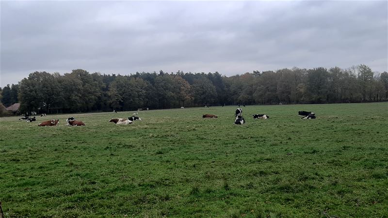 Afstand houden blijft belangrijk