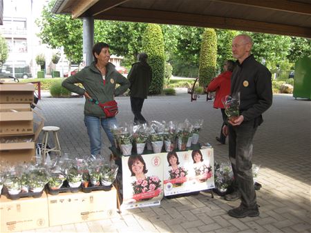 Akkermennekes verkopen azalea's voor KOTK