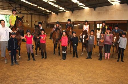 Alles leren over omgang met paarden