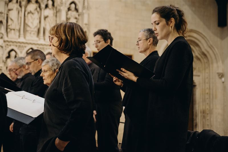 Amicantus brengt driekoningenconcerten