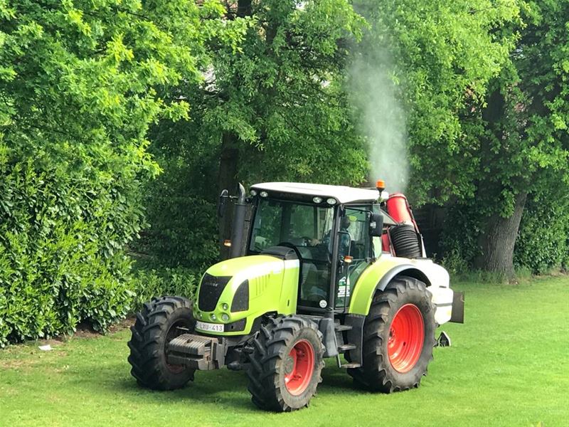 Bestrijding eikenprocessierups is ingezet