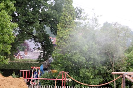 Bestrijding processierups is gestart