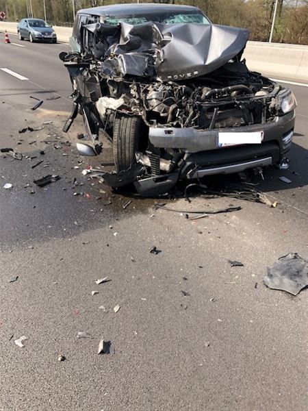 Bestuurder gewond bij zware klap - hond gevlucht