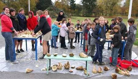 Bieten uithollen voor Sint-Maarten