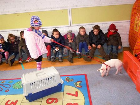 Biggetje op bezoek bij de kleuters