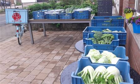 Biogroenten via een abonnement