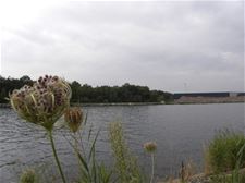 Boerenbond heeft bezwaren tegen plan Groene Delle