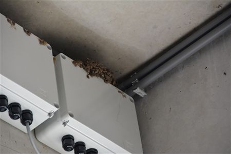 Boerenzwaluw vindt Circuit Zolder OK