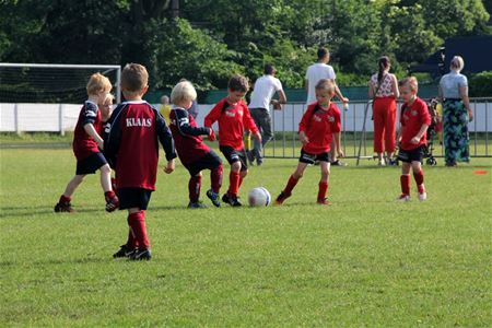 Bolderberg zoekt jeugdspelers en -trainers