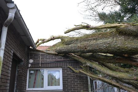 Boom waait om op achterbouw