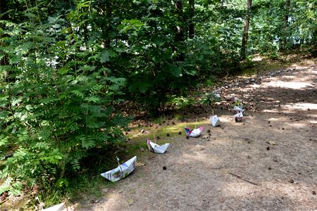 Bootjes varen tot aan kunstproject