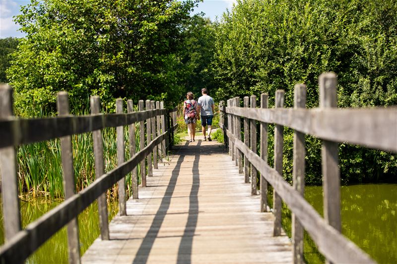 Dag van de Wijers beperkt tot wandelingen
