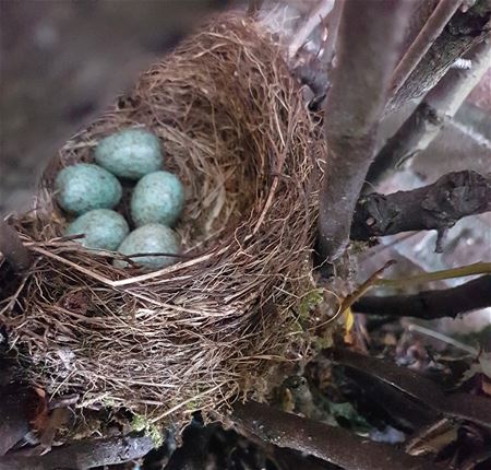 Dat heet: zorgen voor het nageslacht