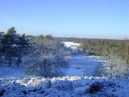 De Ardennen liggen weer bij ons