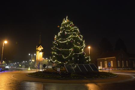 De Bolderbergse kerstboom schittert