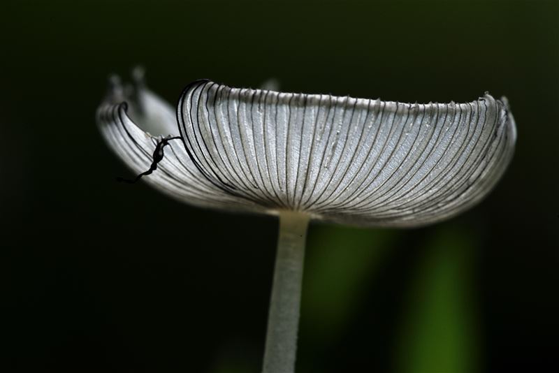 De herfst is in aantocht