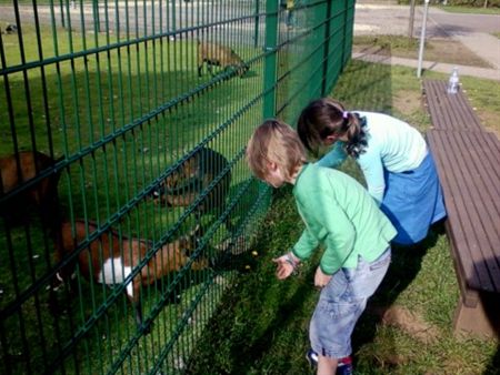 De hongerigen spijzen ...