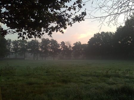 De late zomer van 2011