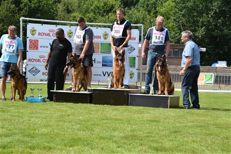 De mooiste Duitse herders bijeen op Helzold