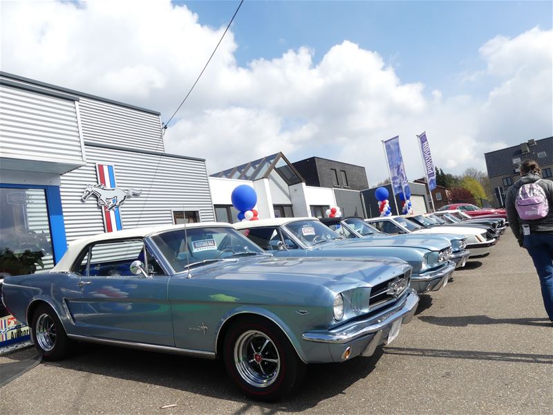 De Mustang-koorts is losgebarsten