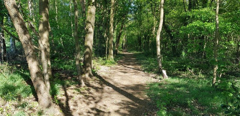 De oude tramroute als trage weg