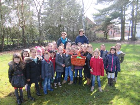 De pagaddertjes in de ban van eieren