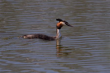 De rijkdom van De Wijers