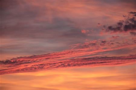 De Sint aan 't werk?