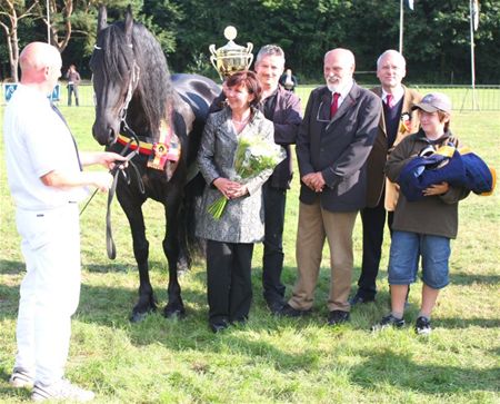 De trots van het Friese paard