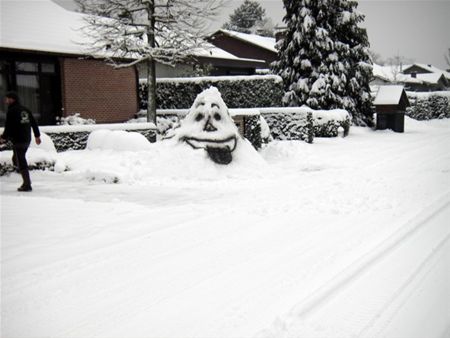 De vele gezichten van de winter