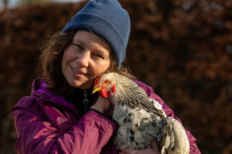 De vriendschap tussen Eefje en Kippie Kip