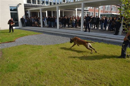 Demo met politiehonden in het SFC