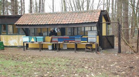 Demonstraties in bijenhal Bovy