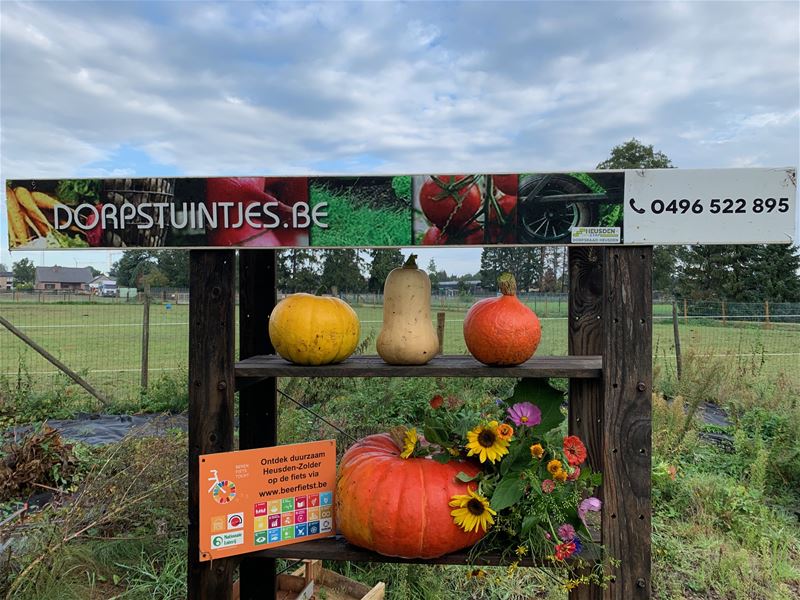 Dorpstuinders verkopen biopompoenen