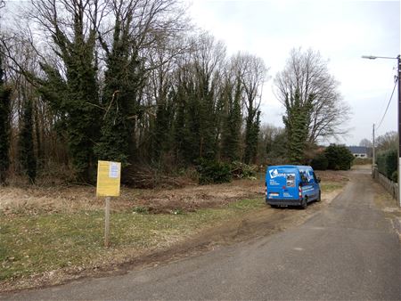 Dossier De Muiten Berg komt op gang