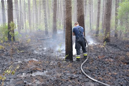 Drukke zomer met branden en wespen voor brandweer