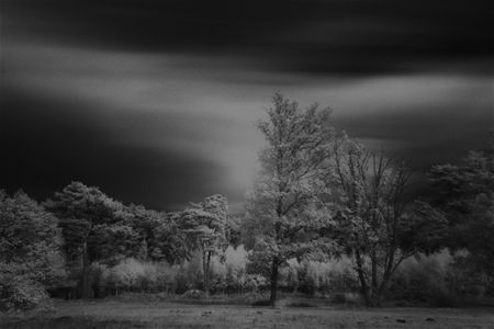 Een aparte avond ...