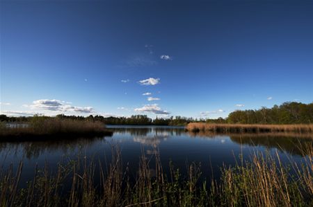 Een blik vanuit de vogelkijkhut