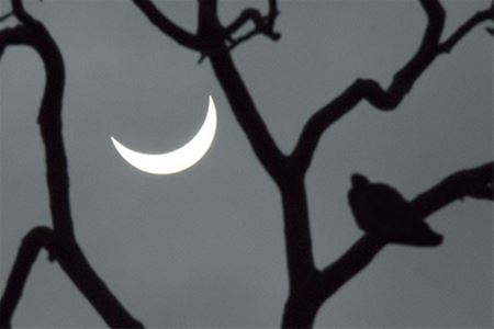 Een grijze, maar zichtbare eclips