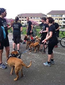 Een korte loopstop aan het gemeentehuis