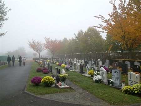 Een mistgordijn over de chrysanten