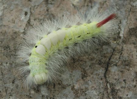 Een nieuwe tandenborstel nodig?