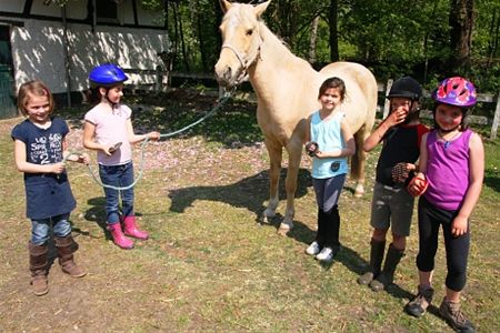 Een paard moet ook goed verzorgd worden