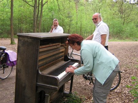 Een piano in het bos