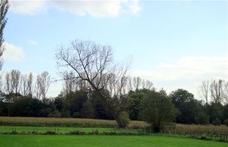 Een schuinsmarcheerder in Ubbersel