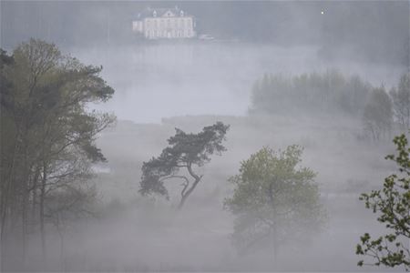 Een sp(r)ookjesachtige ochtend op Terlaemen