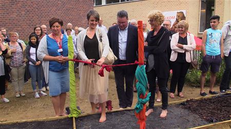 Een tuin om in en van te dromen