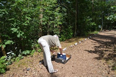 Een vloot van bootjes vertrekt aan De Bark
